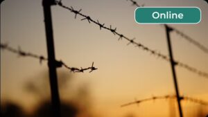 The Law of Armed Conflict, Genocide, and Other War Crimes