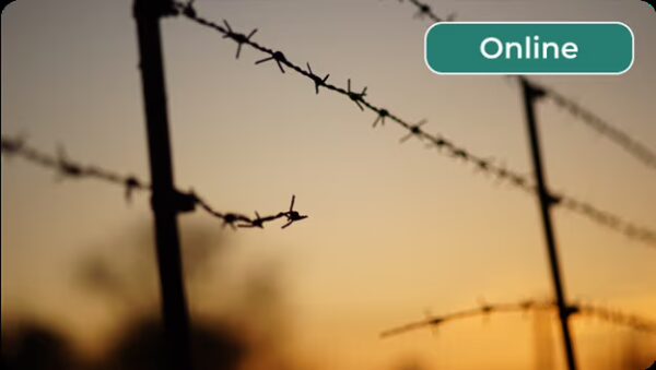 The Law of Armed Conflict, Genocide, and Other War Crimes